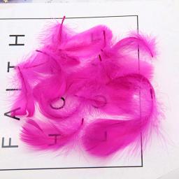 100 pçs/lote 3-5 polegada penas naturais colorido pena para festa de casamento roupas decoração plumas para artesanato jóias casa diy - Image 5