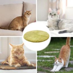 Cobertor aquecido para cães Almofada de aquecimento para animais, controle automático de temperatura, camada impermeável, fundo antiderrapante - Image 5