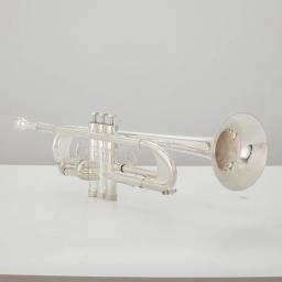 Profissional plana prata chapeado trompete, instrumentos musicais com caso, TR600GS, venda quente, frete grátis - Image 1