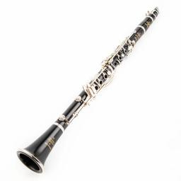 Novo buffet r13 b-flat tune profissional de alta qualidade instrumentos de sopro clarinete tubo preto com acessórios caso - Image 2