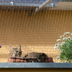 Pet Rede de Proteção de Segurança para Gatos Plástico Protetor, Cobertura de Arame Sturdy, Impede Gatos de Escapar ou Cair da Varanda, Seguro - Image 6