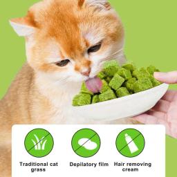 Catgrass Grain Freezedried Cat Snack, peludo Hairball Peças, biscoitos comprimidos, moer os dentes - Image 6