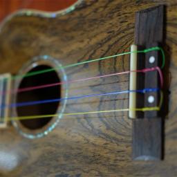 4 peças ukulele cordas conjunto de corda de náilon colorido ukulele substituição acessórios universal 2023 quente - Image 6