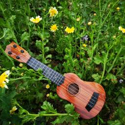 Guitarra Ukulele clássica para iniciantes, Instrumento Musical Educacional, Brinquedo para crianças - Image 2
