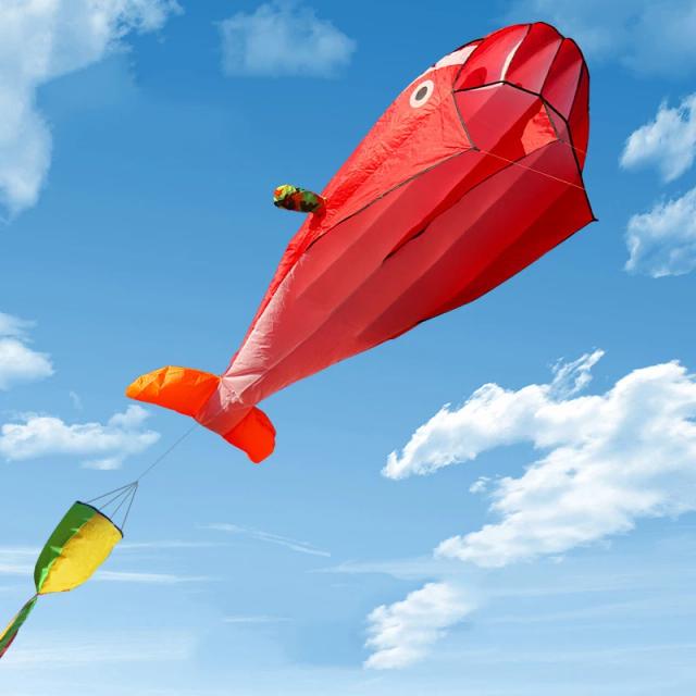 Pipa Gigante Golfinho Baleia 2.2m Nylon Parafoil Esportiva