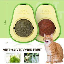 Natural Catnip Erva Gato para Homem - Image 6