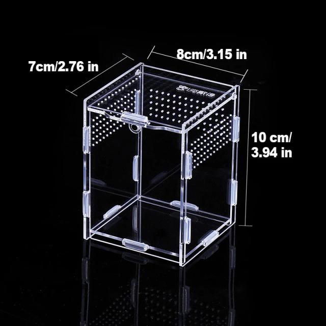 Terrário Acrílico Transparente 12x12x20cm para Répteis e Insetos