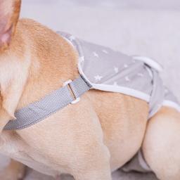 Lavável cão fralda shorts sanitários, suspensórios ajustáveis, pet calças fisiológicas, roupas para cães, cuecas cuecas - Image 4