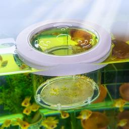 Tanque de peixes suspensos caixa de isolamento de reprodução transparente acrílico aquário incubadora multifuncional sala desova suprimentos de peixes - Image 1
