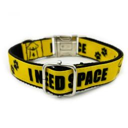 Eu preciso de espaço personalizado filhote de cachorro gato nome id tag ajustável basic coleiras do cão - Image 3