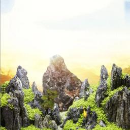 Profissional Natural Aquário Decoração Pedra, Rockery Paisagismo, tanque de peixes, Grande Pedra Decoração, 100g, 250g, 500g - Image 6