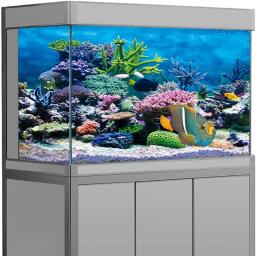 PVC Fish Tank Decoração Cartaz, Lado Duplo, 3D Fundo para Aquário, Oceano Plantas, Paisagem, Pintura Adesivo, Decoração Ornamento - Image 2