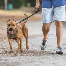 Arnês tático para cães, sem puxar, ajustável Pet Harness, reflexivo K9, treinamento de trabalho, fácil controle, colete pet - Image 6