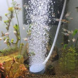 Tanque de peixes aquário ar pedra oxigênio aerador crescente bolha de ar lagoa bomba hidropônico oxigênio fonte pedra 4cm - Image 3