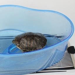 Almofada de aquecimento réptil com controle de temperatura, réptil, chifres, sapo, peixe lutador, aquário, ouriço, tartaruga, lagartixa, aranha - Image 2