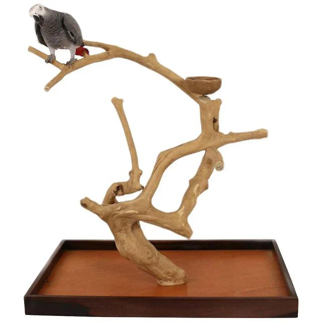 Árvore de Poleiro de Madeira para Playstand de Pássaros: Atraente Galho de Garfo para Pássaros, Café e Papagaios - Kimy Brinquedos