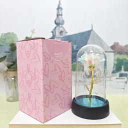 Rosas preservadas para mulheres, rosa galáxia de vidro, luz LED, flor artificial, presente de aniversário para menina, 1pc - Image 2