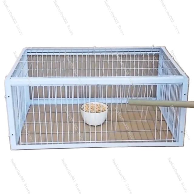 Gaiola Armadilha Dobrável Galvanizada para Captura Humana de Pombos e Pombas com Entrada Exclusiva