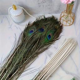 Longas penas naturais pavão adequado para vaso artesanato, decoração do casamento, festa em família, Natal, em massa, 50 pcs - Image 4