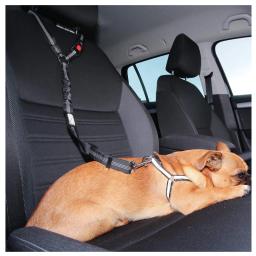 Cinto de segurança do banco traseiro ajustável para pet, arnês para cães dois em um, trela para gatinhos e cães, coleira, acessórios, sólido, novo - Image 6