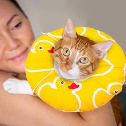 Colar de recuperação de gato | colar de recuperação de animais de estimação macio de proteção ajustável bonito donut elizabeth colar fornecer suporte de pescoço completo - Image 2