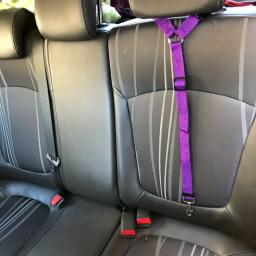 Car Headrest Restraint para Pet, cinto de segurança para cão e gato, Corda de segurança ajustável 1pc - Image 2