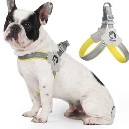 Cinta torácica respirável para cães e gatos, cintos pequenos e médios, cão pequeno e médio, cachorro verão, viagens, caminhada, francês, 1pc - Image 1