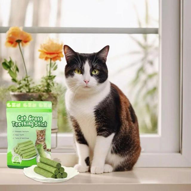 Bastões de Hortelã Natural para Gatos - Lanches para Dentes de Filhote, Limpeza Dental e Pelo Suave, 6 Unidades
