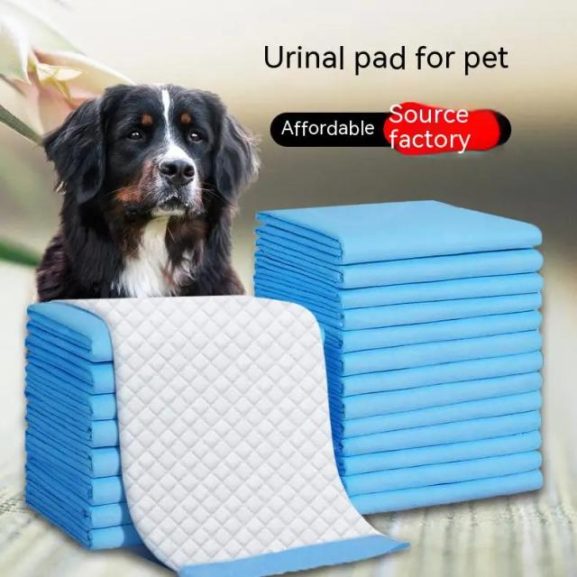 Fraldas Super Absorventes e Almofadas de Treinamento para Cães com Materiais Saudáveis