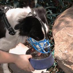 Anti-mordida mastigação cão boca capa, Grelha resistente ao rasgo, Focinho Pet ajustável, Cão suprimentos - Image 3