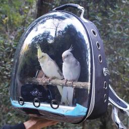 Saco de transporte de pássaros papagaio mochila com prefeito e copos alimentadores para periquito cockatiel coelho viagem acrílico portátil gaiola de pássaro para animais de estimação - Image 1