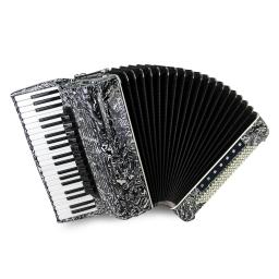 Parrot-Piano acordeão diatônico, instrumento musical para performance profissional, China, 41 teclas, 120 piano, Bass18 Registar - Image 1