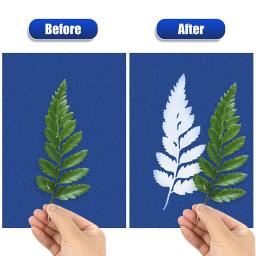 Silhueta Pintura Natureza Papel Impresso, Kid Craft Classe, DIY Arte Artesanato, Sun Papel Imprimir, Desenho Fácil, Cianotipo, 80 Pcs, 24 Pcs - Image 3