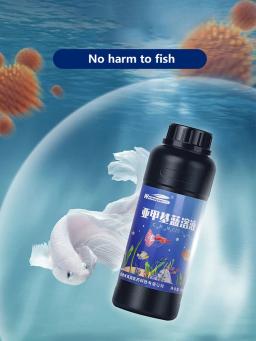 Solução azul metileno Peixes ornamentais para aquário, remoção de manchas brancas e doença dos peixes, remover parasitas - Image 3