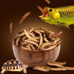 SUNSUN-Refeição Natural Seco Mealworm Food para Animais de Estimação, Répteis, Galinhas, Jardim Selvagem, Pássaro, Verme do Aquário, 140g - Image 5