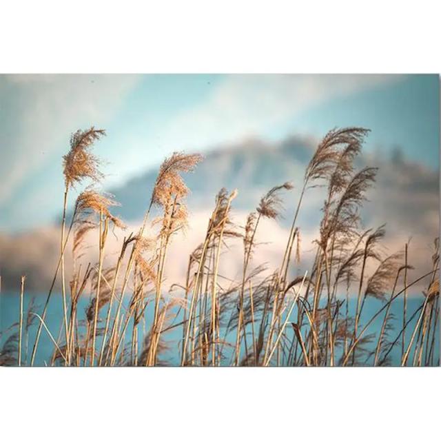 Pinturas Personalizadas por Número: Kit de Paisagem em Tela para Adultos, Pintura a Óleo Feita à Mão para Decorar Sua Casa