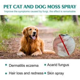 Pet Skin Care Moss Spray para cães e gatos, Spray de Limpeza Pet, Anti-coceira, 30ml - Image 3