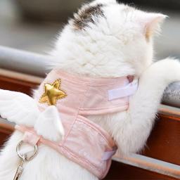 1/conjunto cão gato arreios coleira conjunto acessórios para animais de estimação kawaii anjo asa colete arnês para cães gatos personalizado gatinho filhote de cachorro suprimentos - Image 2