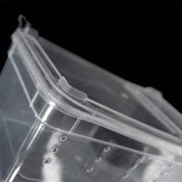 Pequeno animal de estimação répteis caixa de vida répteis habitat escorpião lagarto caso de reprodução recipiente de incubação caixa de criação ferramenta de alimentação animal - Image 4