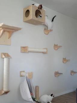 Prateleira de escalada na parede para gatos, Escada com corda de sisal, Arranhador, Árvore para dormir gatinho, Steps Furniture - Image 4
