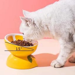 Cerâmica Tigela De Gato Protege O Pescoço Cervical, Bebidas Água, Come Petiscos Do Cão, Boca Inachada, Grão Pé Alto, Produtos Pet - Image 3