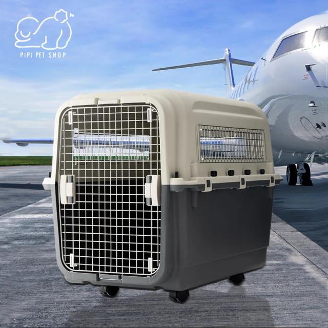 Caixa de Transporte Portátil para Gatos e Cães - Acessórios Ideais para Viagens ao Ar Livre, Grande Capacidade