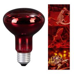 Réptil Lâmpada de Aquecimento para Pet Heat Lights, Lâmpada Iluminação Dispositivo, Fonte de Aquecimento, Vivarium Terrarium, Geckos Amphibian, 100W - Image 1