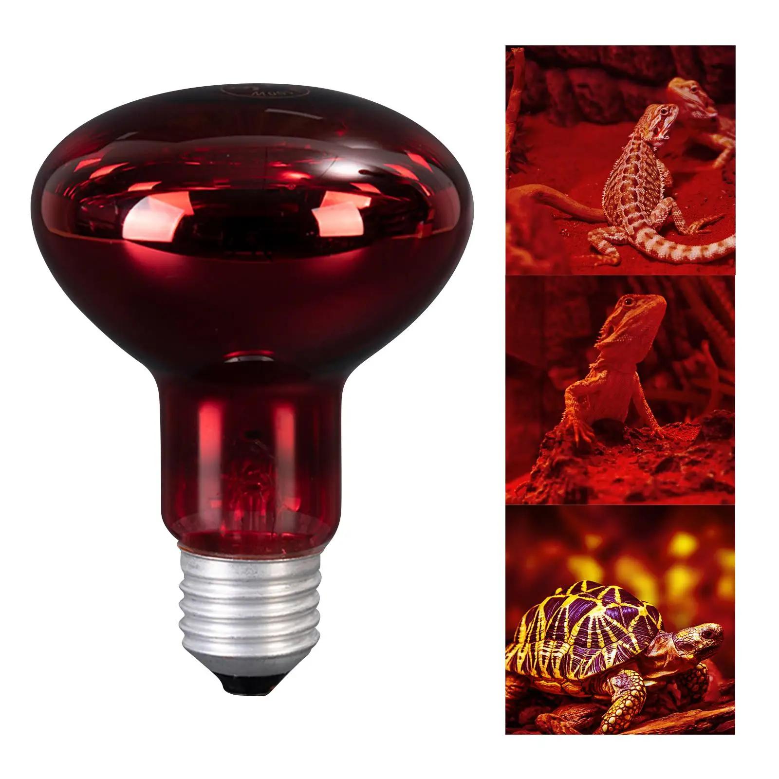 Réptil Lâmpada de Aquecimento para Pet Heat Lights, Lâmpada Iluminação Dispositivo, Fonte de Aquecimento, Vivarium Terrarium, Geckos Amphibian, 100W - Image 1