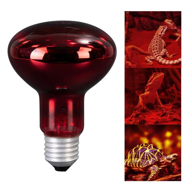 Lâmpada de Aquecimento para Répteis e Anfíbios 100W - Iluminação e Fonte de Calor para Vivários e Terrários