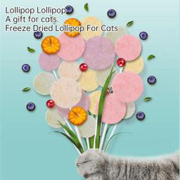 Pet Frango Congelar Pirulitos Secos, Petiscos De Gato, Nutritivo Sabor De Frutas De Frango, Pet Teething Sticks - Image 2
