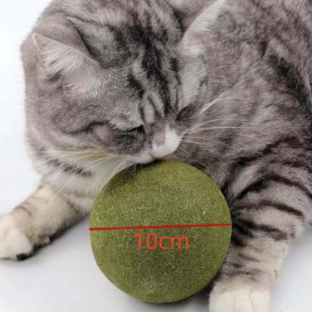 Brinquedo de Catnip Pet Mint para Gatos: Bola Comestível Segura para Jogo de Perseguição e Saúde Dental