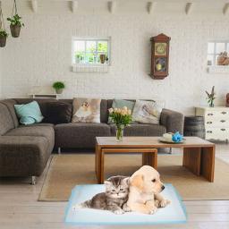 40 peças almofadas extra grandes para cães potty pet xixi tapete suprimentos treinamento Wee Pañales Desechables - Image 2