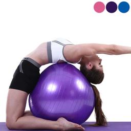 Bola exercício com barra, bola ginástica, bola macia Pilates, bola ioga equilíbrio, 45 - Image 1