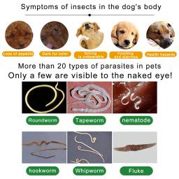 Comprimidos antihelmínticos internos para animais, anthelmínticos nematoides, suprimentos de desparasitação do cão - Image 5